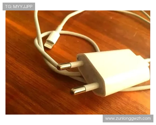尊龙app登录线路异常影响用户体验的原因分析与应对措施