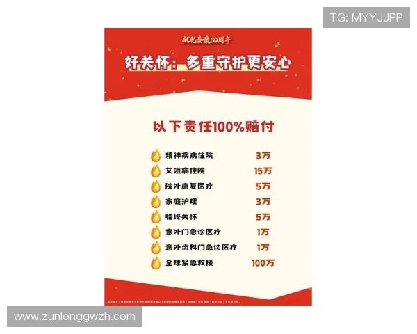 尊龙现金用一下最新优惠政策解析，帮助玩家合理规划资金使用